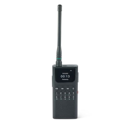 SOLD! B GRADE Choyong WT2 Multifunction Handheld Radio (Ex Demo)